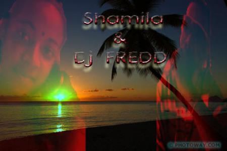 Dj  Fredd & sa malbaraise